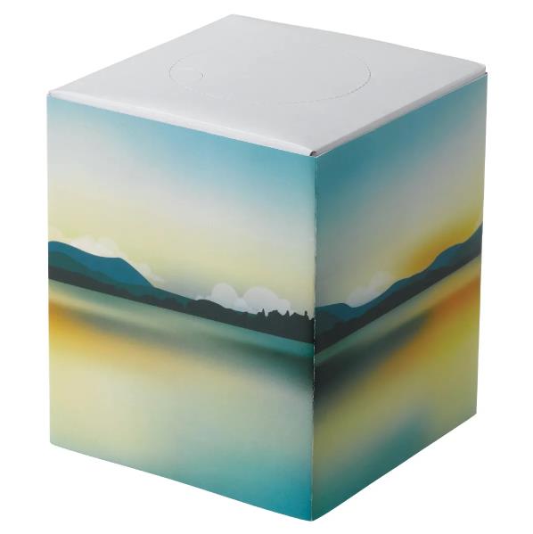 Custom Cube Tissue Box